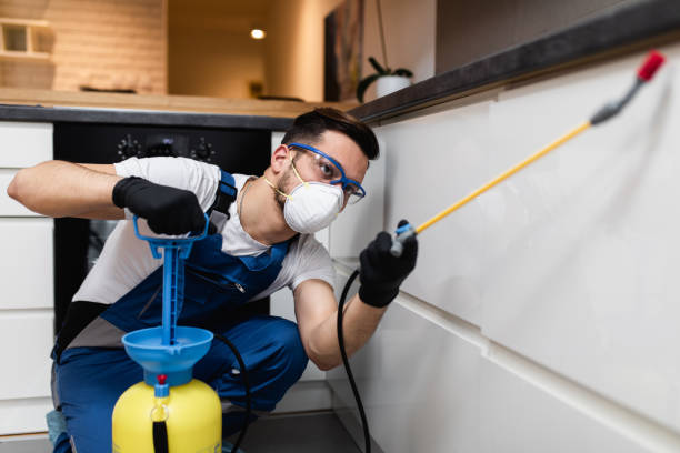 Best Pest Prevention Services  in Hickman, NE