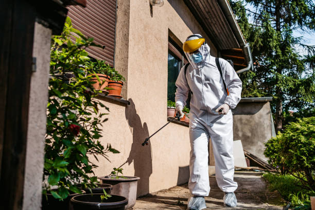 Best Best Pest Control Companies  in Hickman, NE