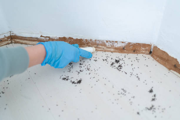 Best Best Pest Control Companies  in Hickman, NE